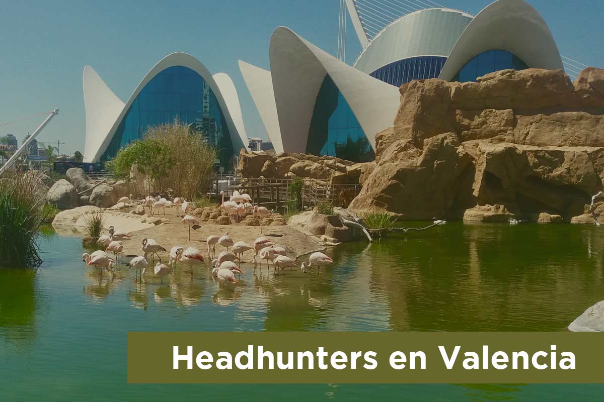 Headhunters en Valencia para procesos Executive Search