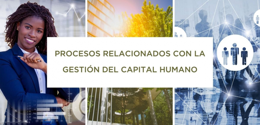 procesos gestion capital humano